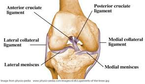 تا چه سنی می توان بازسازی لیگامان صلیبی قدامی را انجام داد؟