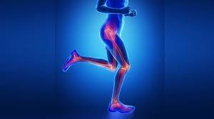 اندام تحتانی