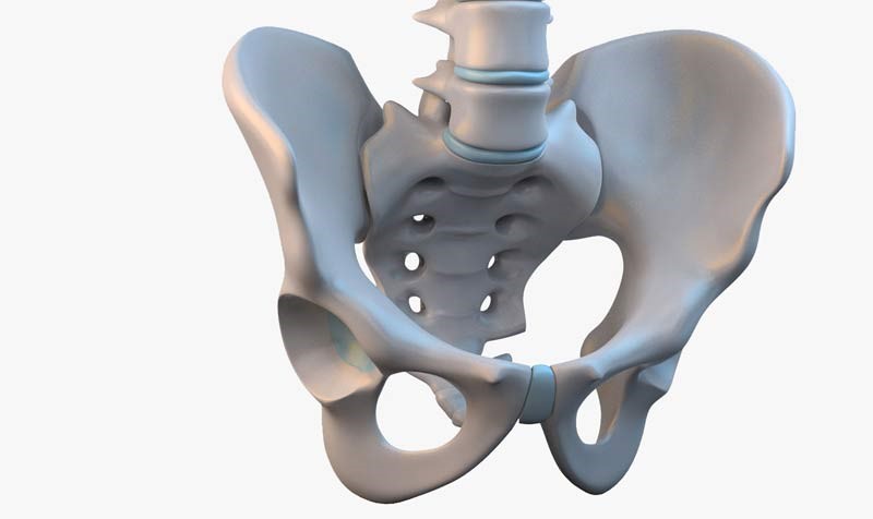 حرکات مفصل هیپ
